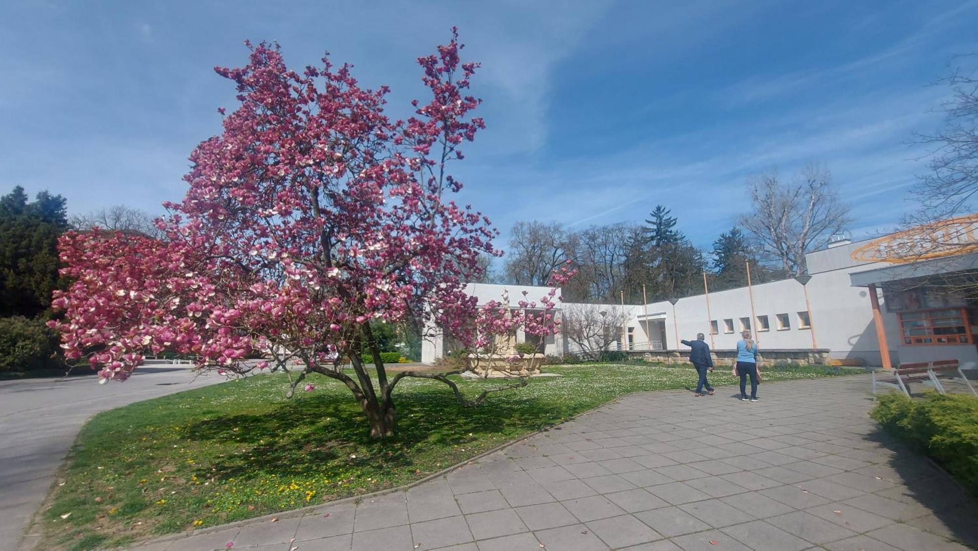 Dom Na Cervenej Vezi Villa Banka Exteriör bild